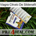 Viagra Sildenafil Citrate 11